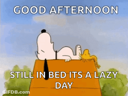 A Cartoon Of Snoopy And Woodstock Saying Good Afternoon GIF