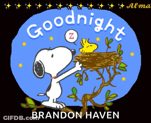 A Cartoon Of Snoopy And Woodstock Saying Goodnight By Brandon Haven GIF