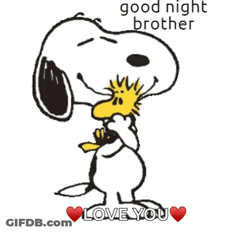 A Cartoon Of Snoopy And Woodstock Says Good Night Brother Love You GIF