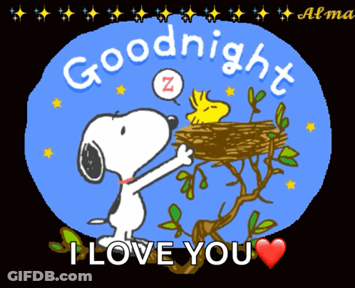 A Cartoon Of Snoopy And Woodstock Says Goodnight I Love You GIF