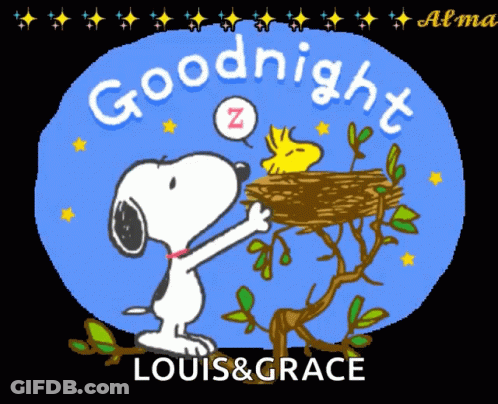 A Cartoon Of Snoopy And Woodstock Says Goodnight Louis & Grace GIF