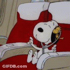 A Cartoon Of Snoopy And Woodstock Sitting On An Airplane Seat . GIF