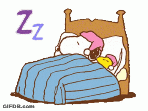 A Cartoon Of Snoopy And Woodstock Sleeping In A Bed With The Letter Z Above Them GIF