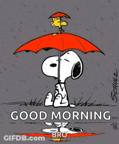 A Cartoon Of Snoopy And Woodstock Under An Umbrella With The Words Good Morning Bro Below Them GIF