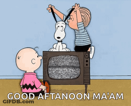 A Cartoon Of Snoopy Charlie Brown And Linus Looking At A Tv With The Words Good Aftanoon Ma Am Below Them GIF