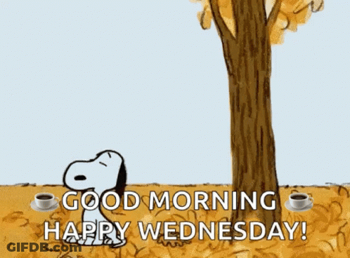 A Cartoon Of Snoopy Hanging From A Tree With The Words Good Morning Happy Wednesday Below Him GIF