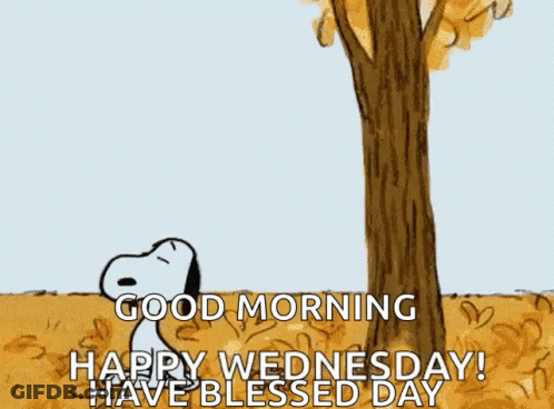 A Cartoon Of Snoopy Hanging From A Tree With The Words `` Good Morning , Happy Wednesday ! Have Blessed Day '' GIF