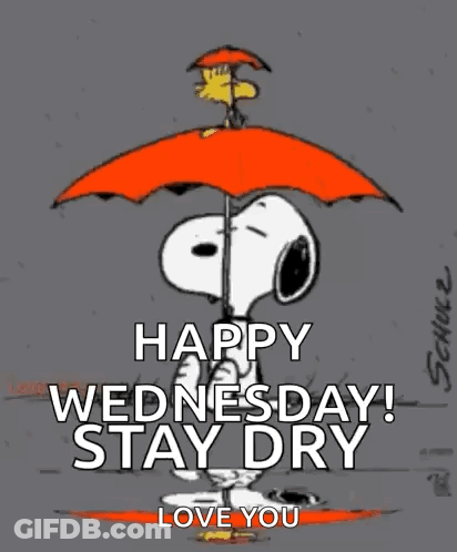 A Cartoon Of Snoopy Holding An Orange Umbrella With The Words `` Happy Wednesday ! Stay Dry Love You '' GIF