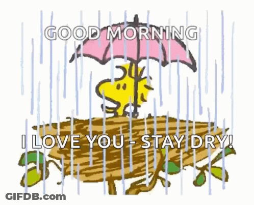 A Cartoon Of Snoopy Holding An Umbrella In The Rain With The Words " Good Morning I Love You Stay Dry " GIF