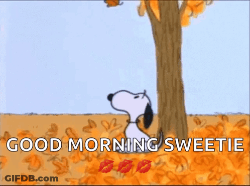 A Cartoon Of Snoopy Kissing A Butterfly With The Words Good Morning Sweetie GIF