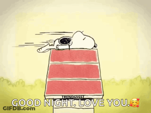 A Cartoon Of Snoopy Laying On A Bed With The Words " Good Night Love You " Below Him GIF