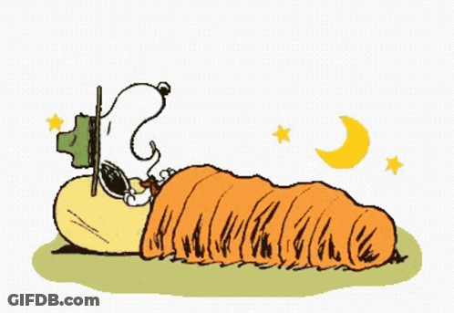 A Cartoon Of Snoopy Sleeping In A Sleeping Bag With The Words Good Night Written Above Him GIF