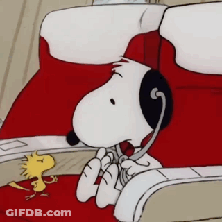 A Cartoon Of Snoopy Talking On A Phone With Woodstock GIF