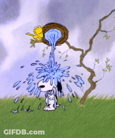 A Cartoon Of Snoopy With Water Pouring Out Of A Bird Nest GIF