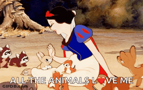 A Cartoon Of Snow White Surrounded By Animals With The Words All The Animals Love Me GIF