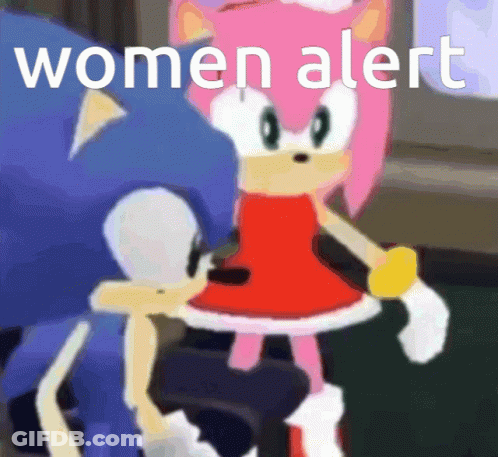 A Cartoon Of Sonic And Amy With The Words " Women Alert " GIF