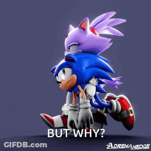 A Cartoon Of Sonic The Hedgehog And Blaze The Cat With The Words But Why Below Them GIF
