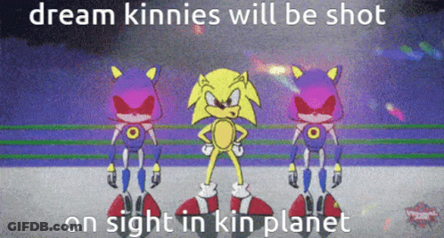 A Cartoon Of Sonic The Hedgehog And Metal Sonic With The Caption Dream Kinnies Will Be Shot On Sight In Kin Planet GIF