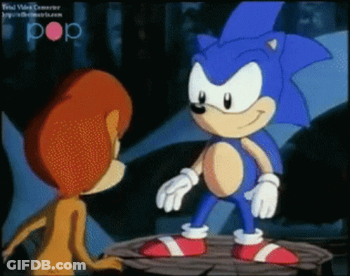 Sonic The Hedgehog And Sally The Lion Cartoon GIF