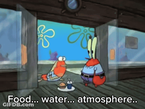 A Cartoon Of Spongebob And Mr Krabs Talking About Food Water And The Atmosphere GIF
