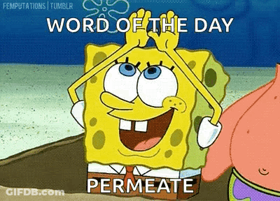 A Cartoon Of Spongebob And Patrick Saying The Word Of The Day Is Permeate GIF