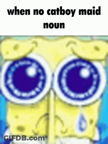 A Cartoon Of Spongebob Crying With The Words When No Catboy Maid Noun GIF