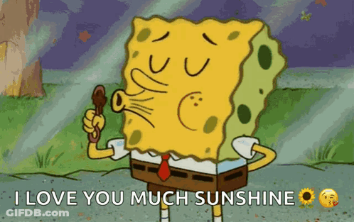 A Cartoon Of Spongebob Saying " I Love You Much Sunshine " While Holding A Stick GIF
