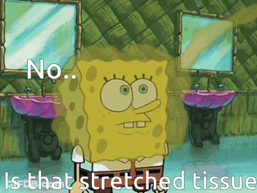 A Cartoon Of Spongebob Saying No Is That Stretched Tissue In A Bathroom GIF