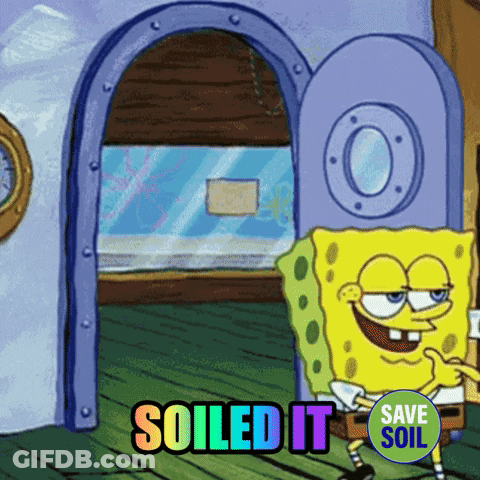 A Cartoon Of Spongebob Saying " Soiled It " GIF