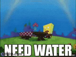 A Cartoon Of Spongebob Sitting At A Picnic Table Says Need Water GIF