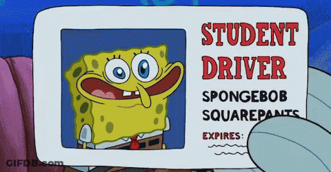 A Cartoon Of Spongebob Squarepants Holding A Student Driver 'S License GIF