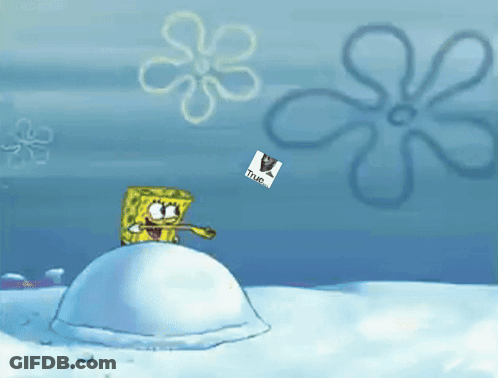 A Cartoon Of Spongebob Standing On Top Of A Snowball With A Picture Of A Cat That Says True On It GIF