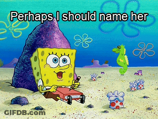 A Cartoon Of Spongebob With The Words Perhaps I Should Name Her On The Bottom GIF