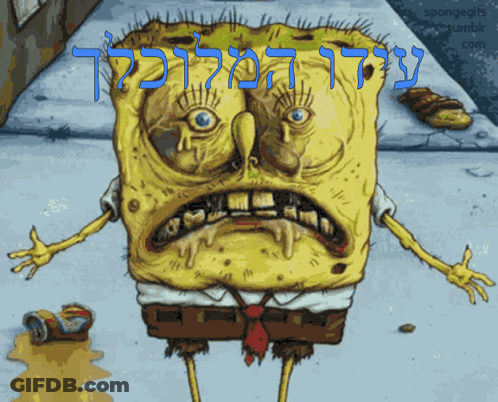 A Cartoon Of Spongebob With The Words Spongegifs Tumblr.com Written Above Him GIF