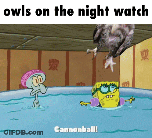 A Cartoon Of Squidward And Spongebob Swimming In A Pool With The Caption Owls On The Night Watch Cannonball GIF