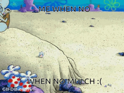 A Cartoon Of Squidward From Spongebob Squarepants Says " Me When No When No Mulch :) " GIF