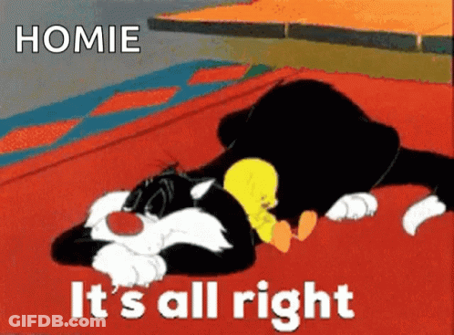 A Cartoon Of Sylvester And Tweety Laying On A Couch With The Caption " Homie It 'S All Right " GIF