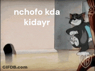 A Cartoon Of Tom And Jerry With The Words " Nchofo Kda Kidayr " Above Them GIF