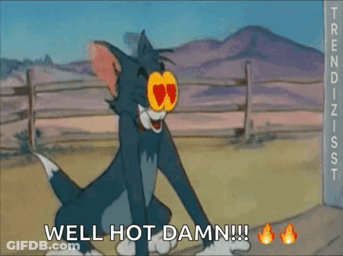 A Cartoon Of Tom And Jerry With The Words Well Hot Damn GIF