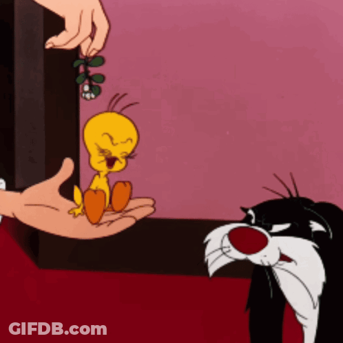 A Cartoon Of Tweety And Sylvester With A Person Holding A Plant GIF