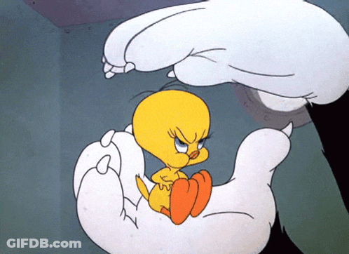 A Cartoon Of Tweety Being Held By A Large Hand GIF