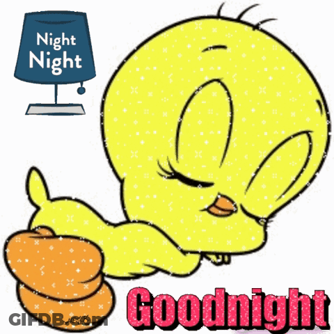 A Cartoon Of Tweety Giving A Thumbs Up With The Words Night Night Behind Him GIF