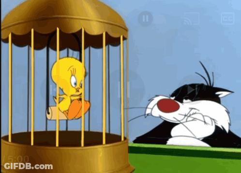 A Cartoon Of Tweety In A Cage And Sylvester GIF