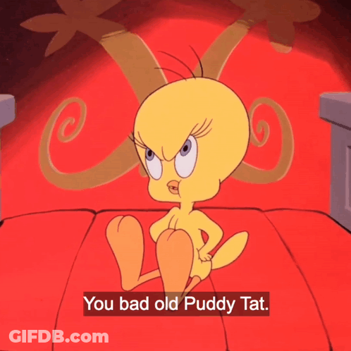 A Cartoon Of Tweety Sitting On A Bed With The Words You Bad Old Puddy Tat Below Him GIF