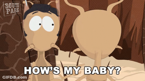 A Cartoon Of Two Ants With The Words How 'S My Baby On The Bottom GIF