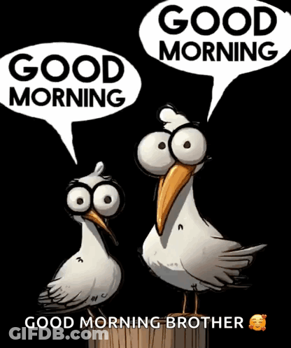 A Cartoon Of Two Birds With Big Eyes Saying Good Morning GIF