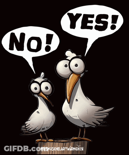 A Cartoon Of Two Birds With Speech Bubbles That Say Yes And No GIF