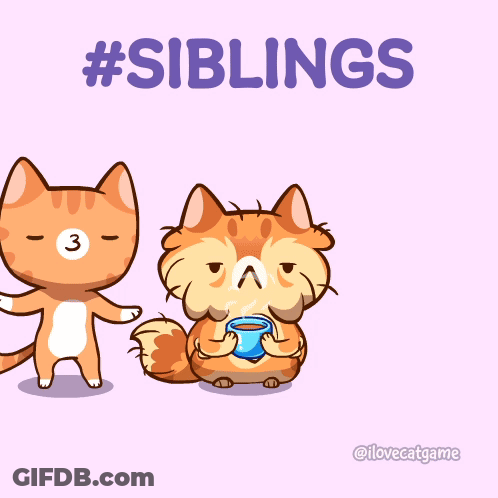 A Cartoon Of Two Cats Drinking From A Blue Cup With The Words #Siblings Above Them GIF