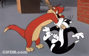 A Cartoon Of Two Cats Fighting Each Other GIF