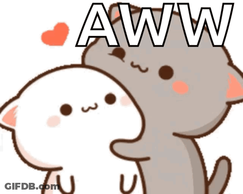 A Cartoon Of Two Cats Hugging Each Other With The Word Aww Above Them GIF